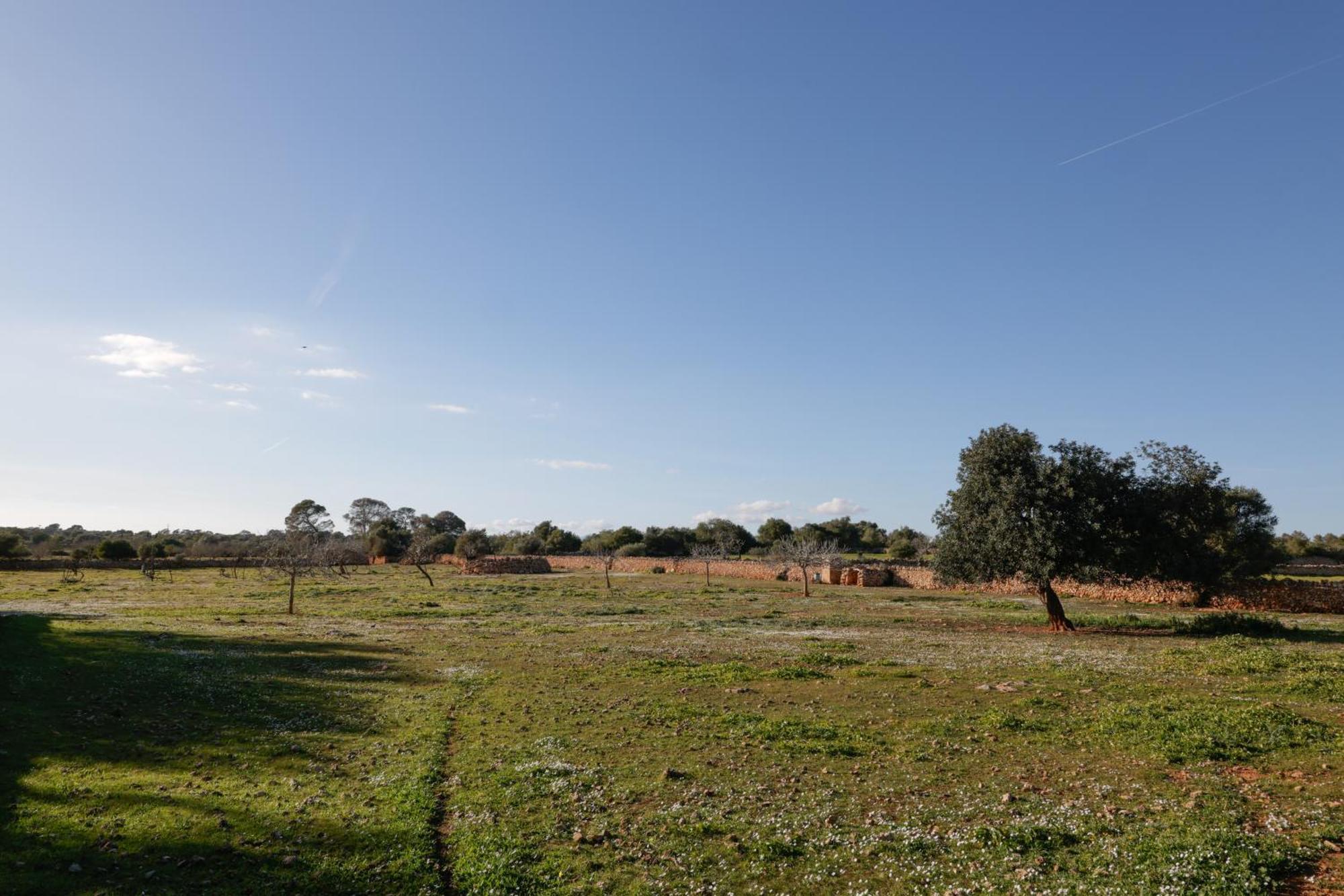 Agroturismo Finca Son Pieras Guest House Llucmajor  Exterior photo