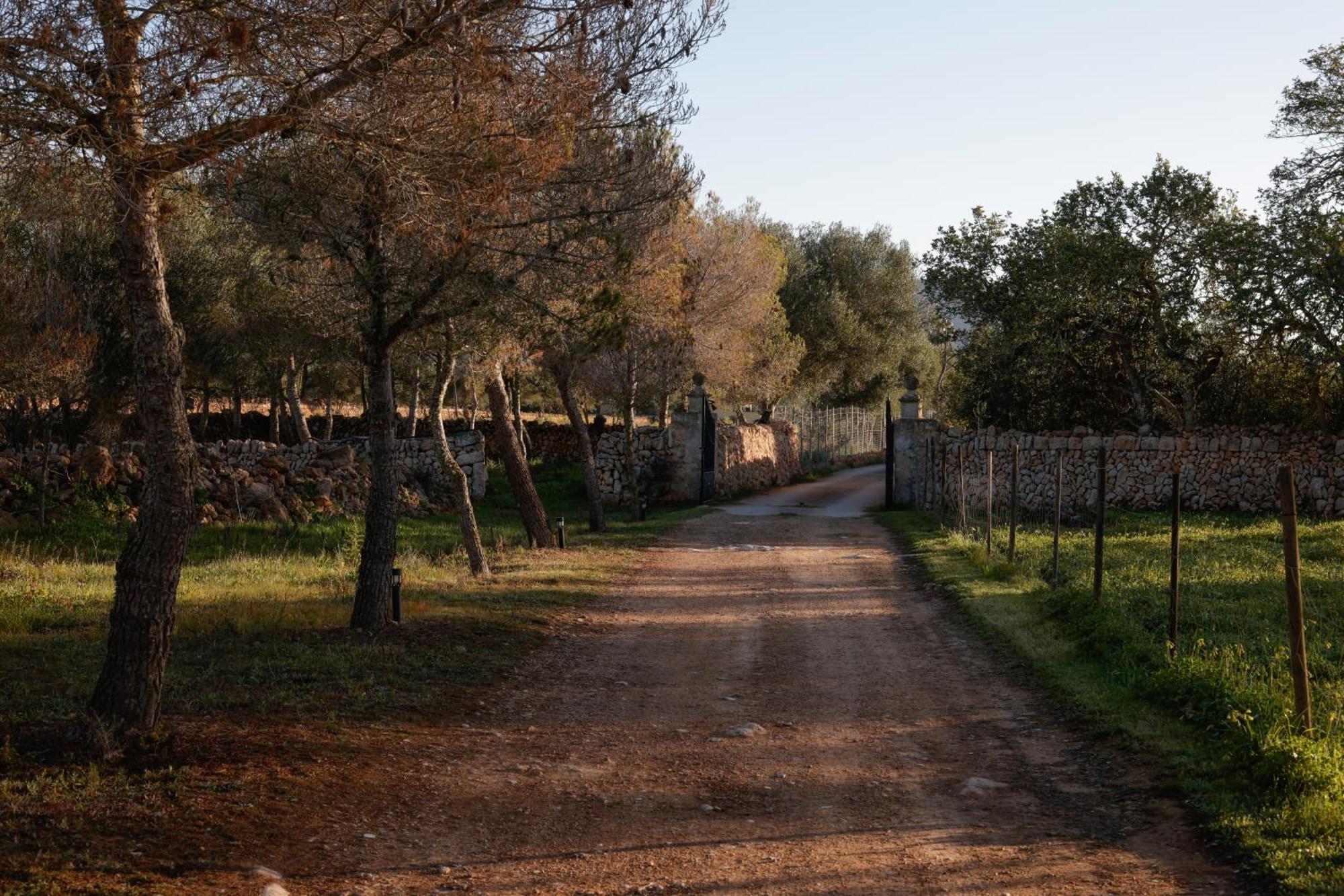 Agroturismo Finca Son Pieras Guest House Llucmajor  Exterior photo